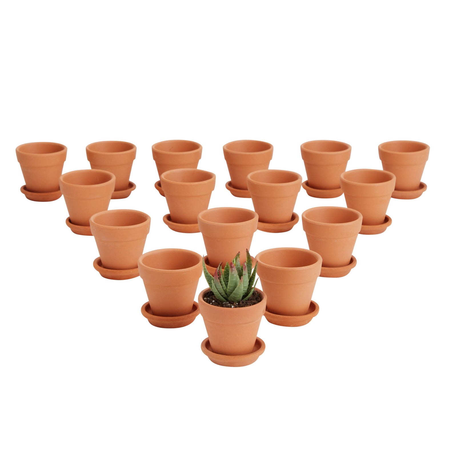 Planters Pots 90s Pink Mini Pot 9 Cm Unique Plant Gifts For Plant 