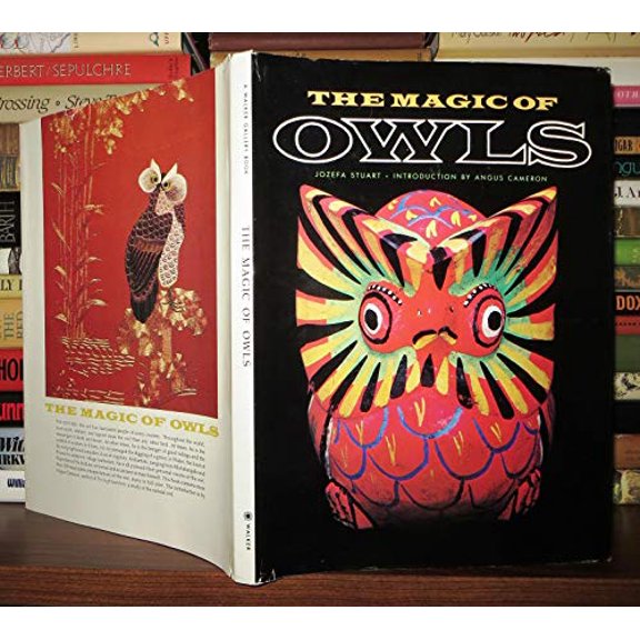 Pre-Owned The Magic of Owls (Walker Gallery Book), 9780802705785, 0802705782, Hardcover, First Edition edition