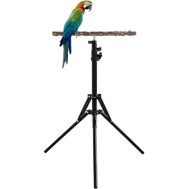 Adjustable Bird Perch | Bird Training Perch | Bird Perch Height Stand | Standing