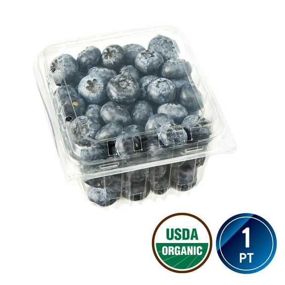 Fresh Organic Blueberries Dry Pint Container
