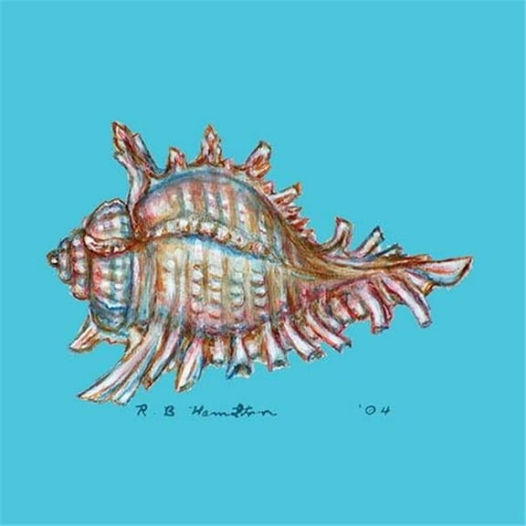 Betsy Drake CT094 Conch Coaster - Set of 4