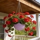 thumbnail image 1 of CaiYueKe Self Watering Hanging Planter with Drainage Holes and Chain, Plastic Plant Pots for Indoor Outdoor Garden, Flower Pot Container for Succulents Herbs, 1 of 7