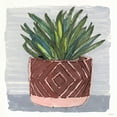 thumbnail image 3 of Stellar Designs Studio 15x15 Black Modern Framed Museum Art Print Titled - Potted Agave II, 3 of 5