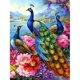thumbnail image 1 of 30x40 Cm Peinture Diamant 8d Diy Complet, Pintura De Diamante Hecha A Mano De Pavo Real 10, Diy Diamond Strass Toile Point De Croix Painting Par Numro Pour Dc, 1 of 5