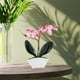 thumbnail image 2 of KAKOWELY Mini orquídea artificial para mesa, adorno de mesa, ideal para baño y cocina., 2 of 5