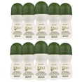 thumbnail image 1 of Zermat Desodorante Kiwi perfumado 24 horas paquete 10 piezas Roll On, 1 of 3