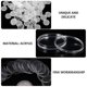 thumbnail image 3 of 12PCS Acrylic Coin Collection Protection Box Coin Box Transparent Round Box, 3 of 4