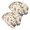 Pioneer Flower Floral Print Pattern, variant on Pioneer Flower Floral Print Pattern 2 Pack Slouchy Beanie Hat, Outdoor Running Hat with Stretchy Fabric & Soft Texture, Warm Thermal Gifts for Unisex Men Women