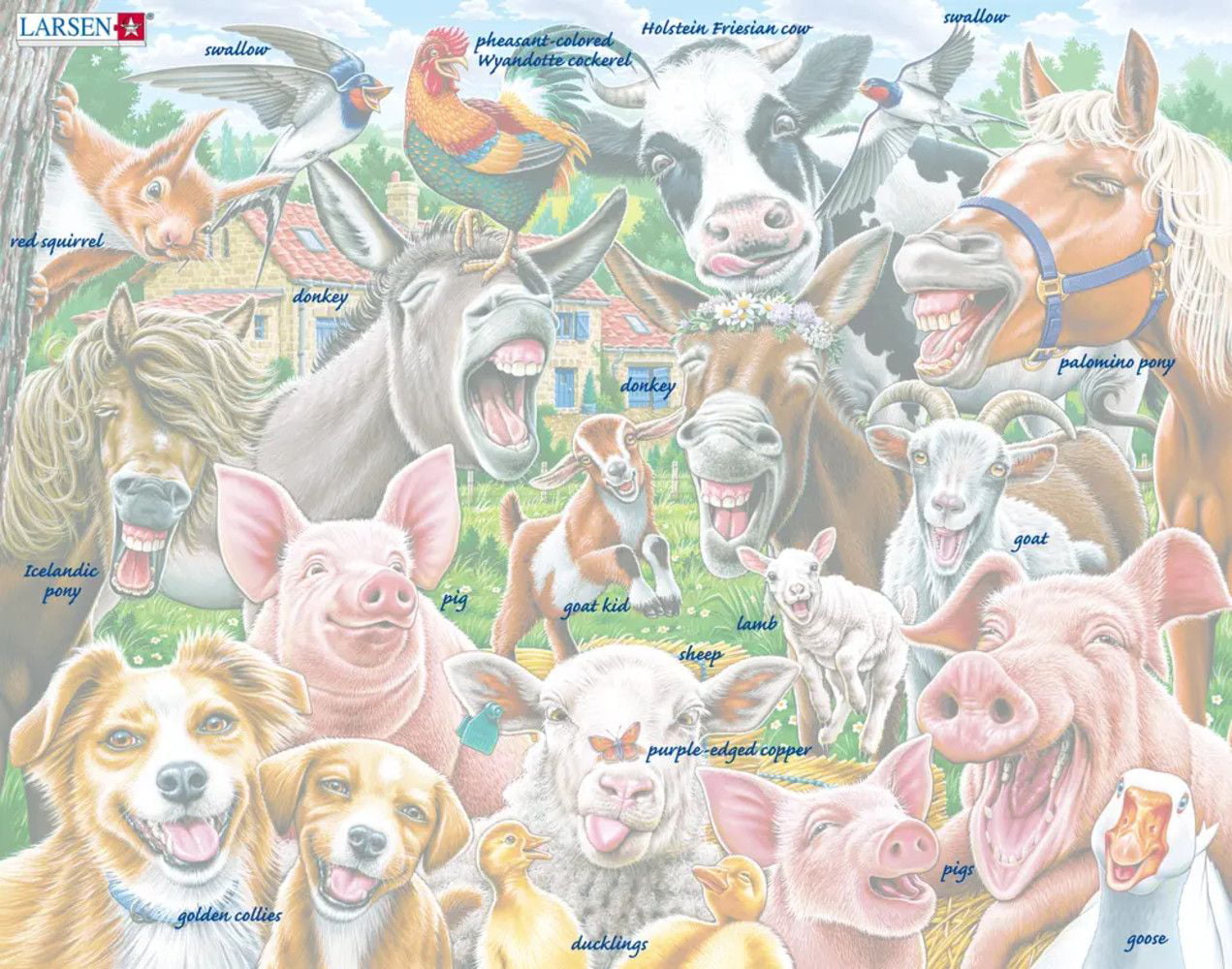 1000 Pieces Farm Animal Say Cheese Selfie Funny Pattern Jigsaw Puzzle Game Toy 