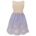 thumbnail image 2 of Big Girl Sleeveless Lace Embroidery Party Holiday Wedding Flower Girl Dress Blue 8 JKS 2135 BNY Corner, 2 of 4