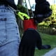 thumbnail image 4 of Clips para Guantes para Soportes de Guantes de Trabajo Clip para CinturóN de Guantes con Mosquetones de Metal para Trabajo de Guardia de Trabajadores de la ConstruccióN (Amarillo), 4 of 5