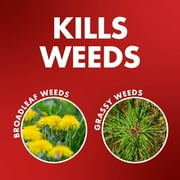 Spectracide One-Shot Weed & Grass Killer with AccuShot Sprayer, 1 Gallon