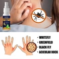 thumbnail image 3 of Indoor Bed Bug Mite Killer Spray Protecting Health of the Family for Beds Sofa Carpet Wardrobe, 3 of 5