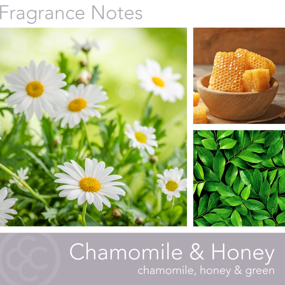 Colonial Candle Chamomile & Honey 16 oz Aromatherappy Candle, White