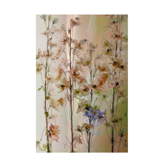 Canvas Wall Art - Saskia Dingemans 'Summer Pastel' Wall Art for Living Room, Bedroom, or Office Décor by Trademark Fine Art - 12 x 19 Inches