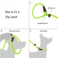 thumbnail image 4 of Correa para perro con correa antideslizante, correa para pasear y entrenar perros con cuerda, correa de nailon resistente sin tirones, 4 of 5