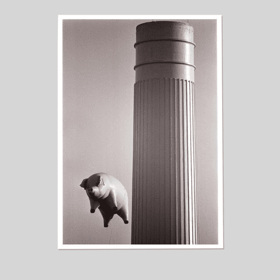 Pink Floyd- Flying Pig Poster Size 24''x36'' The Orange Shop