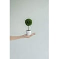 thumbnail image 3 of A&B Home Artificial Plants - Artificial Boxwood Topiary Tree, Artificial Ball Shaped Tree w/White Pulp Pot for Home Décor Indoor,Set of 3 Faux Tabletop Plant, 11" x 4" x 10", 3 of 3