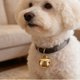 thumbnail image 1 of BESTYASH 100Ud Para Collar De Perro Y Con De Cruz Y Transparente, 1 of 8