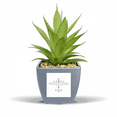 thumbnail image 1 of Army Aircraft Line Art Deco  Fashion Fake Pineapple Flower Pot Vase Mini Decor, 1 of 3