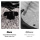 thumbnail image 4 of Cat Arch Self Groomer Pet Prime 2 en 1 para gatos de interior, 4 of 7