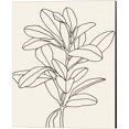 thumbnail image 3 of Great Art Now Olive Branch Contour by Emma Scarvey 2 Piece Canvas Art Set Each 12"W x 15"H, 3 of 3