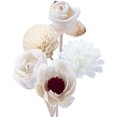 thumbnail image 1 of Leadigol 5Pcs Diffuser Sticks Wood Flower Diffuser,Natural Rattan Wood Sticks,Diffuser Sticks Refill Replacement,Fragrance Decorative Rattan Reed, 1 of 8