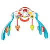 Lil Critters 3-in-1 Baby Basics Gymâ„¢