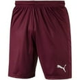 thumbnail image 2 of PUMA Mens Liga Core Athletic Shorts, Moisture-Wicking, Elastic Waistband, X-Large, 2 of 2
