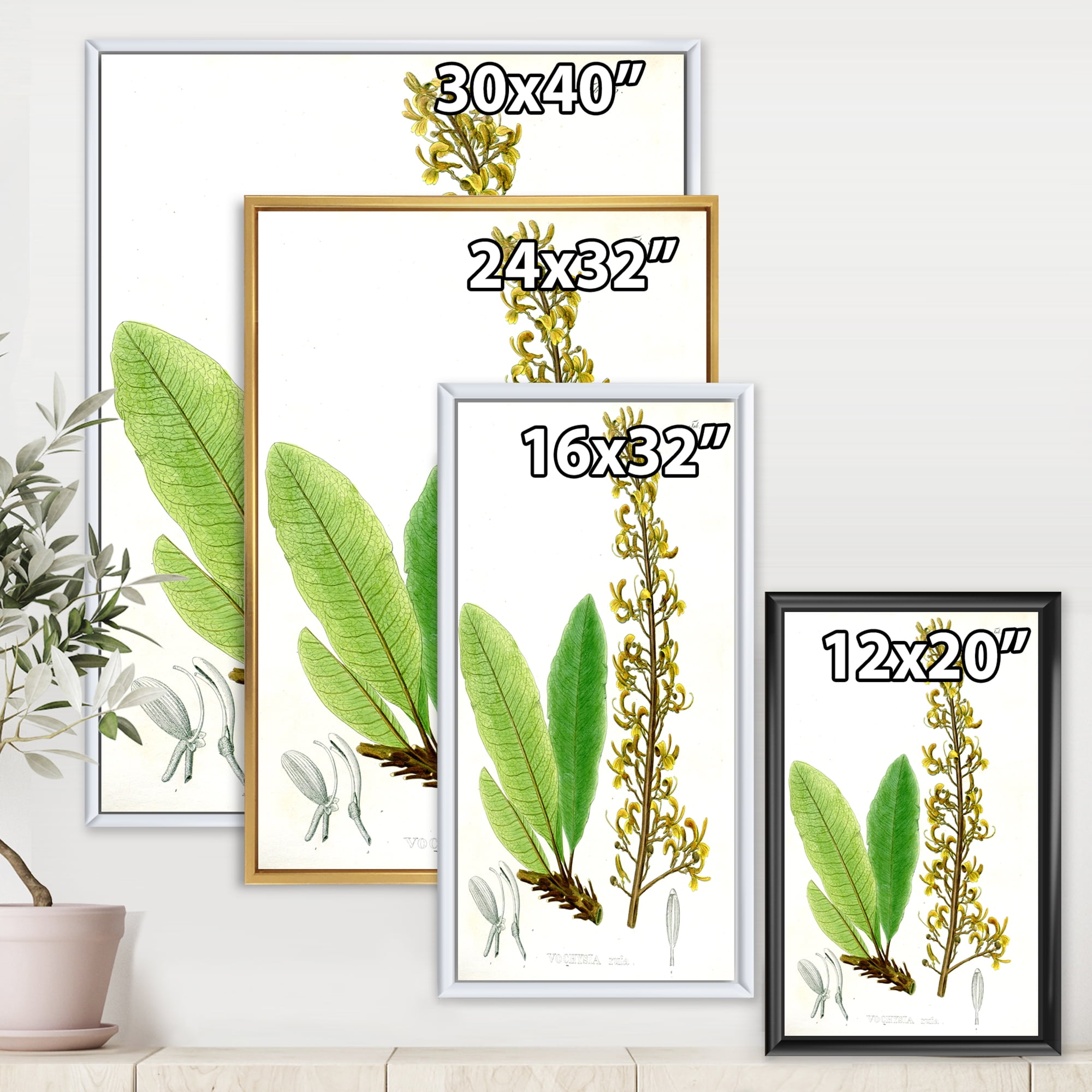 Designart 'Ancient Brazilian Plant IV' Traditional Framed Canvas Wall Art Print