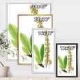 thumbnail image 4 of Designart 'Ancient Brazilian Plant IV' Traditional Framed Canvas Wall Art Print, 4 of 5