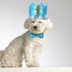 thumbnail image 2 of KAKOWELY 1 juego de corona, sombrero y pajarita para fiesta de cumpleaños de perro o mascota, suministros para recuerdos de fiesta, 2 of 4