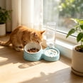 thumbnail image 4 of Qholemyo 2 In 1 Integrated Pet Bowl Pet Food Bowl Food Water Feeding Bowl For Daily Feeding Cats And Dogs, 4 of 6