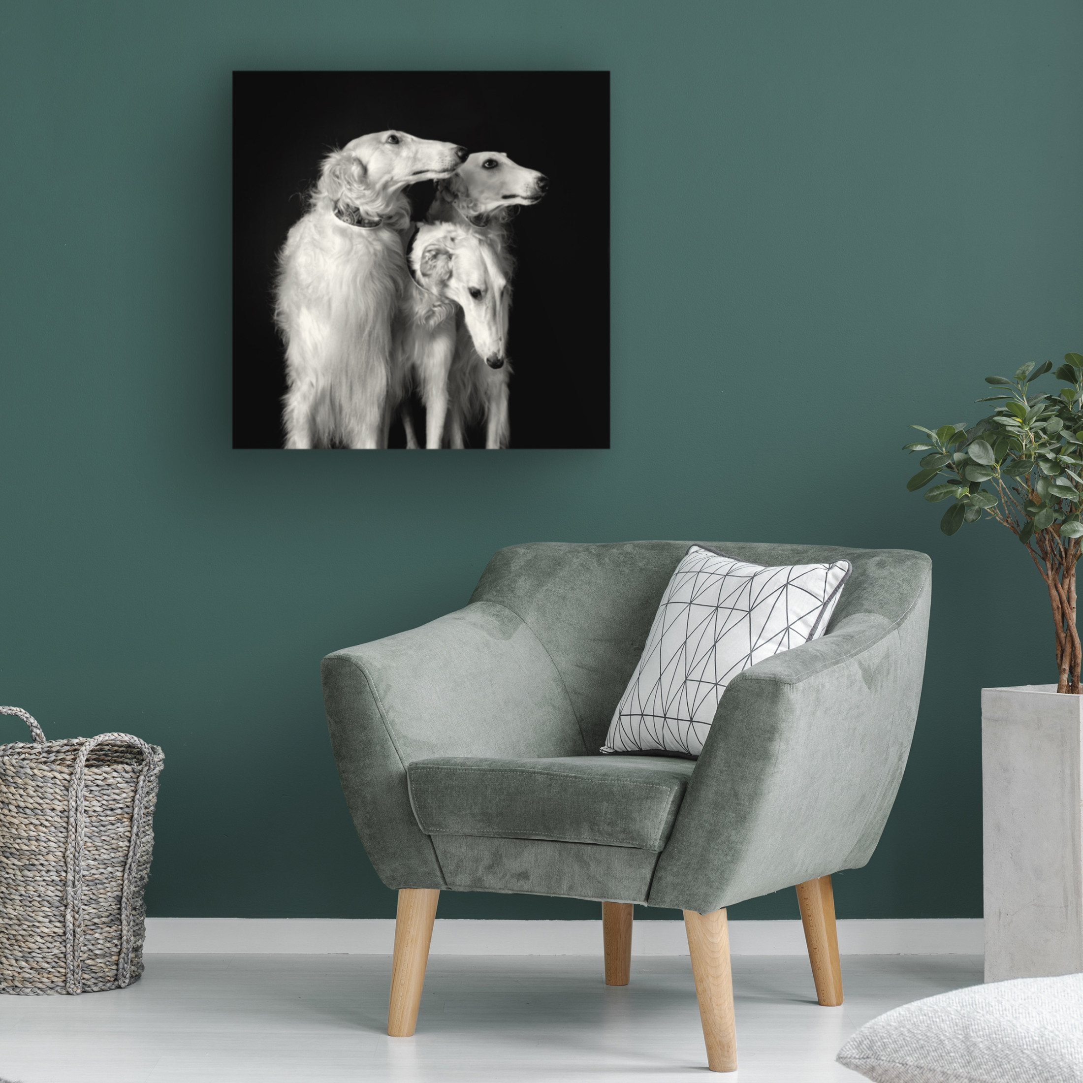 Trademark Fine Art Mieke Engelbos  3 of a kind Canvas Wall Art