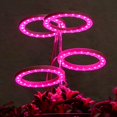 thumbnail image 2 of 1/2/3/4 Ring Small Plant Halo Grow Light with 8/12/16H Timer for Desk,Full Spectrum LEDs USB Mini Dimmable Grow Light for Indoor Umbrella Plant Seeds herb Growth(2 Rings), 2 of 7