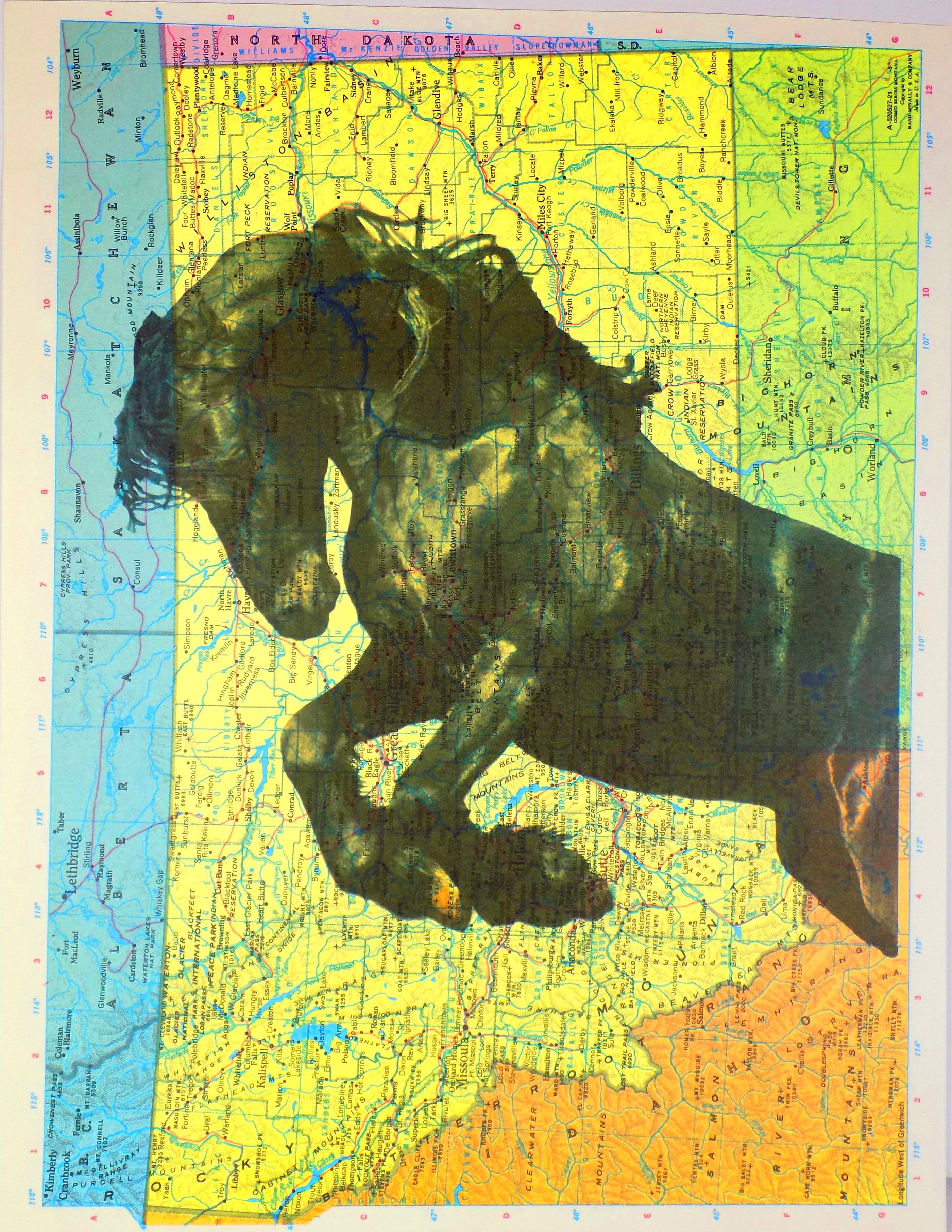 Art N Wordz Black Arabian Horse Atlas Sheet Pop Art Print Poster Walmart Com Walmart Com Art N Wordz Black Arabian Horse Atlas Sheet Pop Art Print Poster Walmart Com Walmart Com
