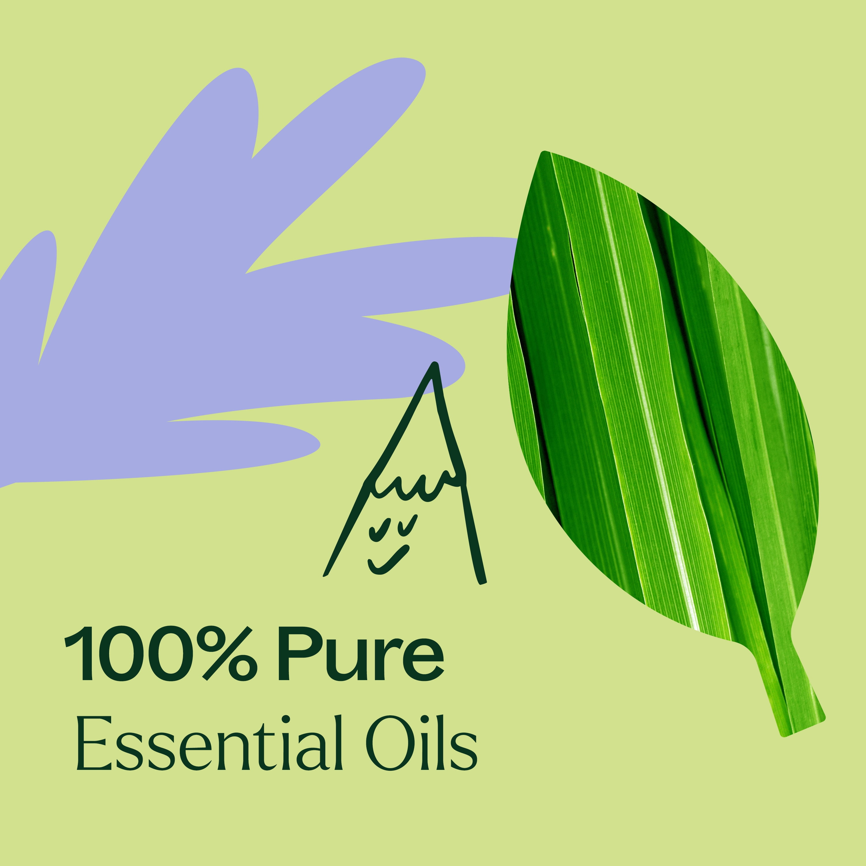 Plant Therapy Balance Essential Oil Blend 10 mL (1/3 oz) 100% Pure, Undiluted, Natural Aromatherapy