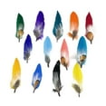 thumbnail image 2 of Plumas de sombrero Perfecl para sombreros Fedora y vaquero Cantidad 13, 2 of 8
