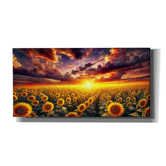 Epic Graffiti 'Sunflower Field Sunrise' by Rey Klimt Canvas Wall Art, 60" x 30"
