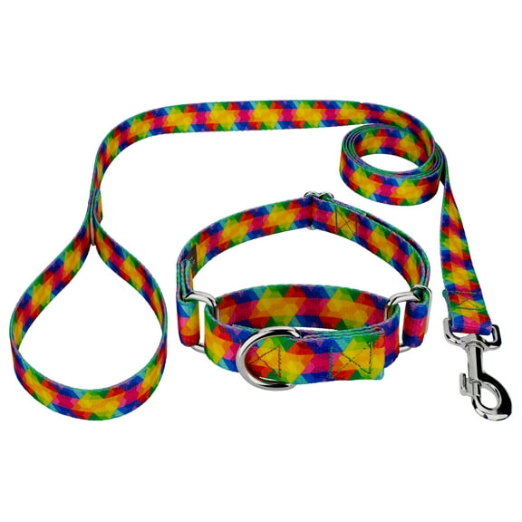 Country Brook Petz® Kaleidoscope Martingale Dog Collar and Leash, Large