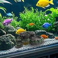 thumbnail image 4 of LLDYYDS Reptile Hides and Caves Simulation Rock Reptile Hideout Terrarium Habitat Décor for Bearded Dragon Lizards Ball Python Snakes One Size, 4 of 5
