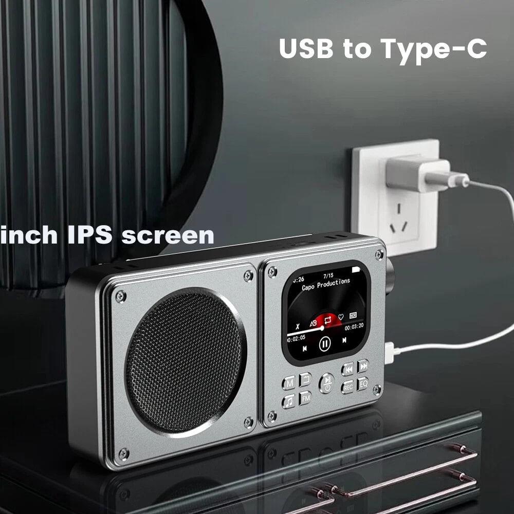 Wiher Portable FM Radio with Bluetooth Speaker, 2.0” Color HD Display, Loud Speakers, Headphone Jack, Support Alarm TF Card MP3/MP4 Player for Home Outdoor Gray