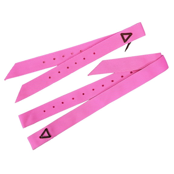 Hilason Premium Single Nylon Cinch Tie Strap And Off Billet Set Pink