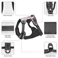 thumbnail image 6 of Fotbe Cactus Pattern Dog Harness, No-Pull Pet Harness with 2 Leash Clips, Adjustable Soft Padded Dog Vest with Easy Control Handle for Large Dogs-Small, 6 of 6