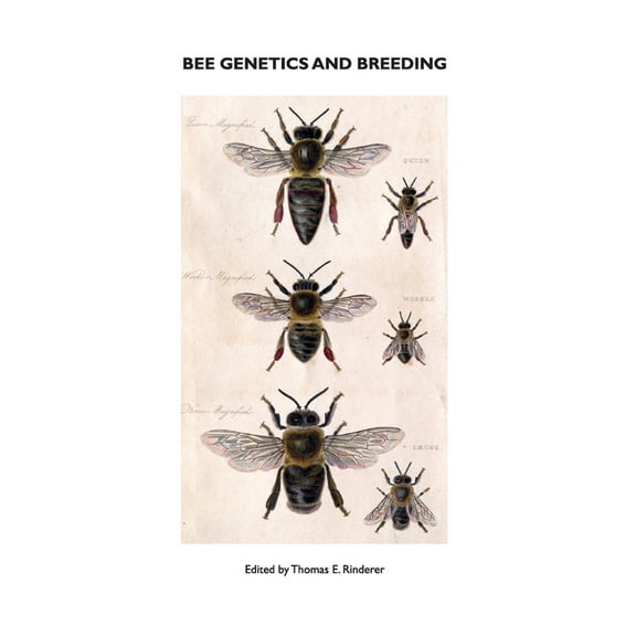 Bee Genetics and Breeding (Hardcover) by T E Rinderer
