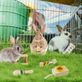 thumbnail image 7 of 6 Pcs Wooden Bunny Toys, Safe Rabbit Toys, Multi-Colored Bite-Resistant Guinea Pigs Toys for Chinchillas Hamsters Small Animals Playing Indoor Outdoor Bunny Gifts, 7 of 7