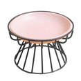 thumbnail image 1 of Elevated Cat Feeder Bowl Ceramic Dish Iron Rack Anti Slip Multipurpose Accessory I, 1 of 9