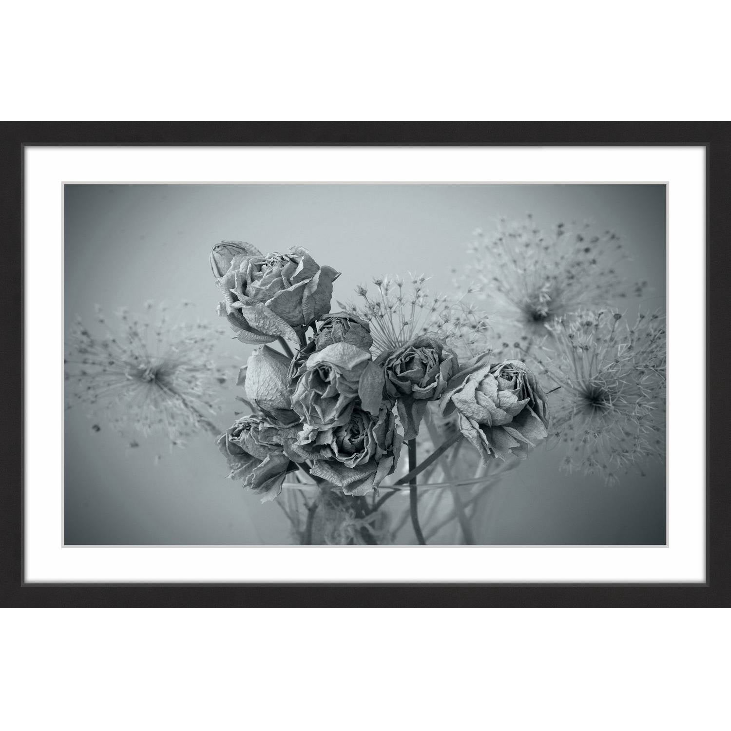 Roses in Slumber Framed Painting Print