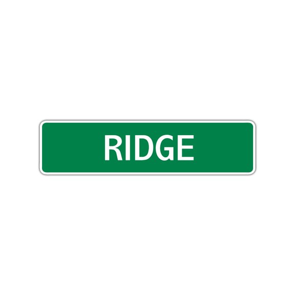 Ridge Boys Children Name Letter Printed Indoor Outdoor Unique Wall Novelty Plaque Decoration Label Aluminum Metal Sign 4"x18"