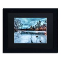 Trademark Fine Art "Frozen Central Park Lake II" Canvas Art by David Ayash, Black Matte, Black Frame